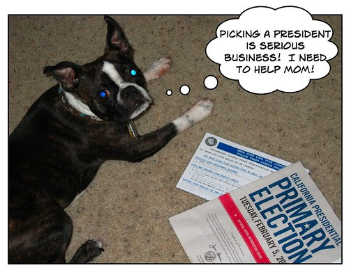 prezident