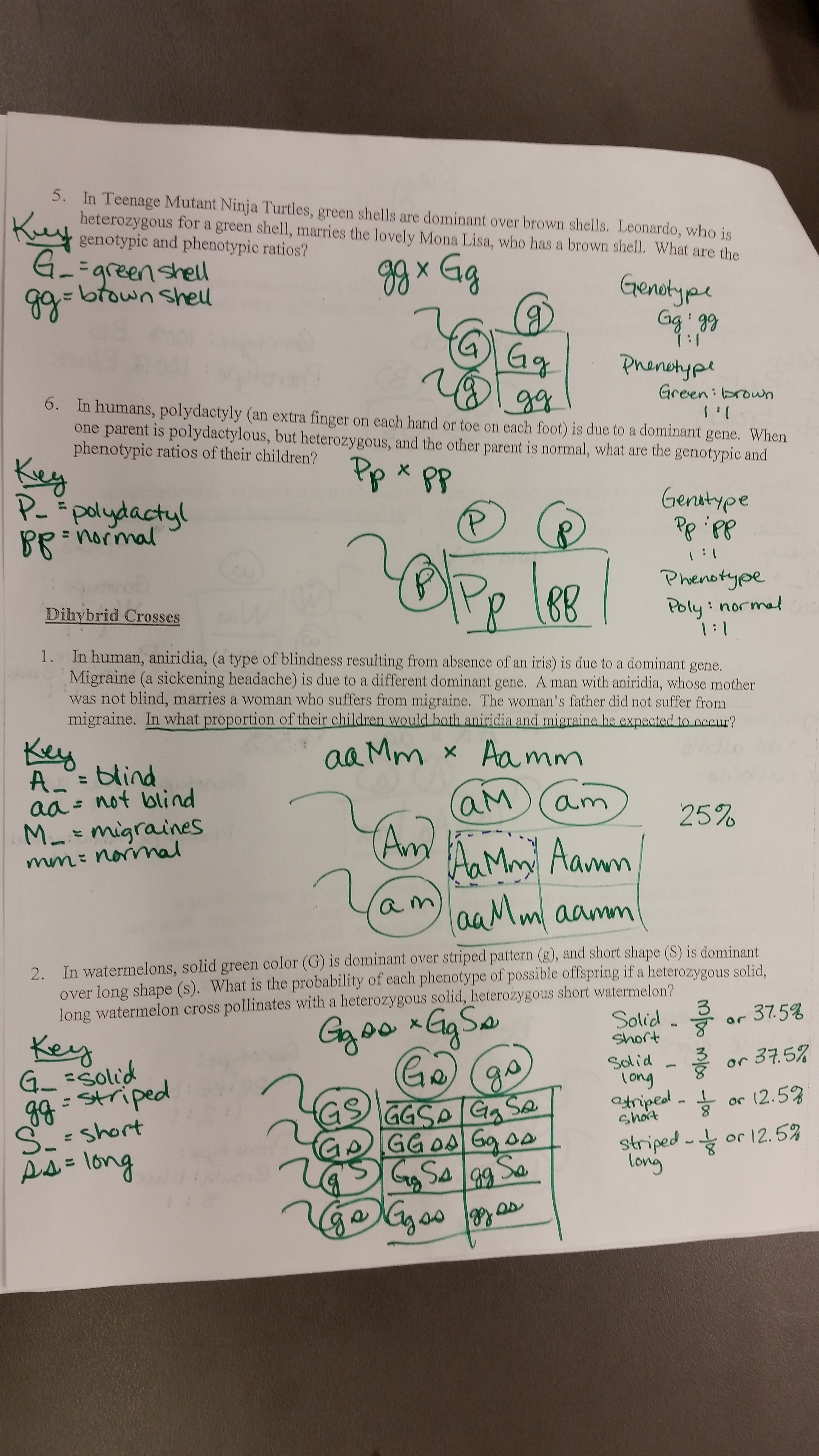 Bestseller: Chapter 10 Dihybrid Cross Worksheet Answers Key