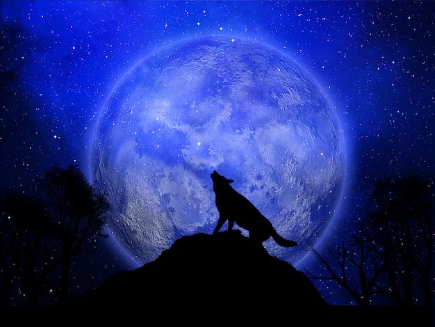loup howling lupo urla aullando hurlement heult uive rugir tjuter hurlant steinschlag motorhaube schutz airbrush folie wildnis wald bruxas vargen