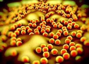 Superbugs create new demand in supply chains