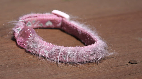 Collar 02