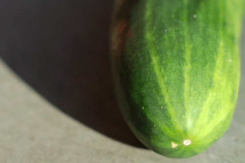 Cucumber by Eve Fox, Garden of Eating blog