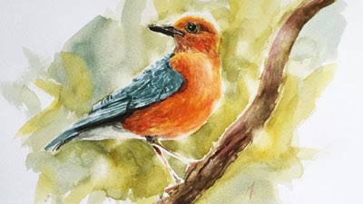 CRMla: Easy Aesthetic Watercolor