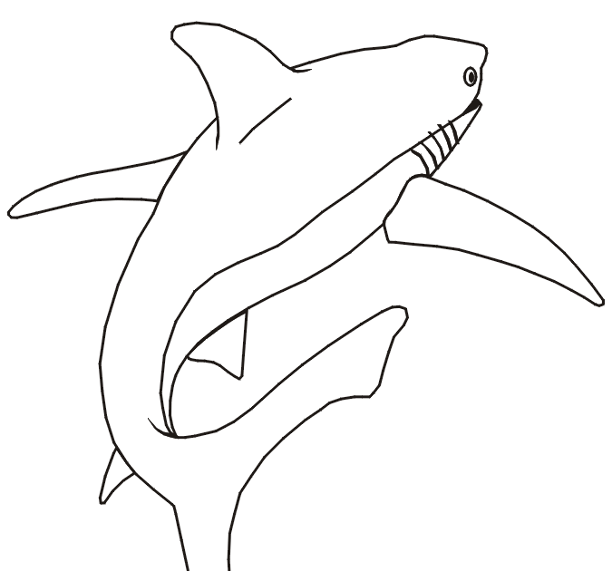 Killer Shark Coloring Pages - coloring pages