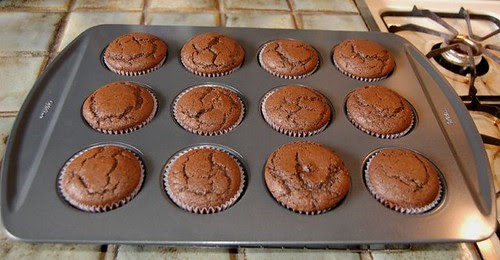 B-Cup Cakes Out of the Oven=