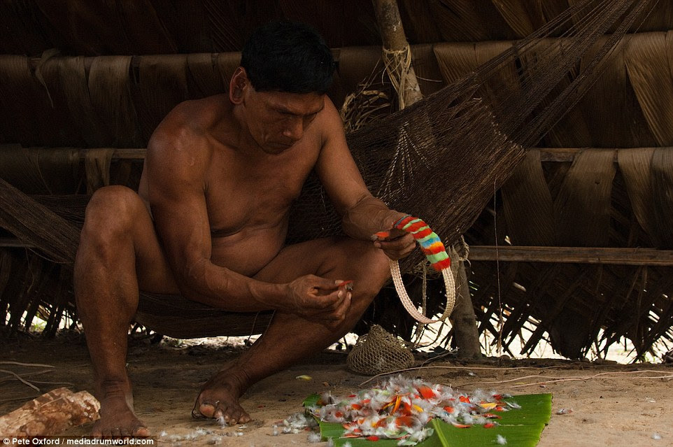 Um homem constrói um colar fora das penas do pássaro. A tribo ganhar algum dinheiro com a venda de artesanato para os turistas