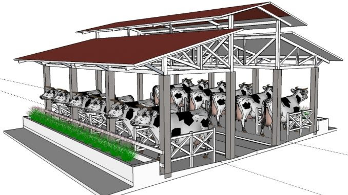Denah Kandang Sapi Limosin