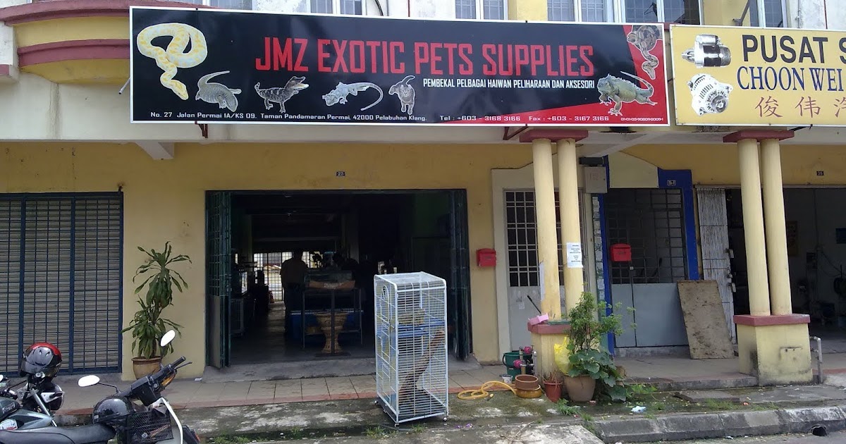 Kedai Haiwan Near Me / Cari Nombor Tersembunyi Meow station cat shop
