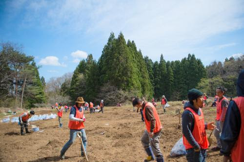 20130428-DSC_8533.jpg