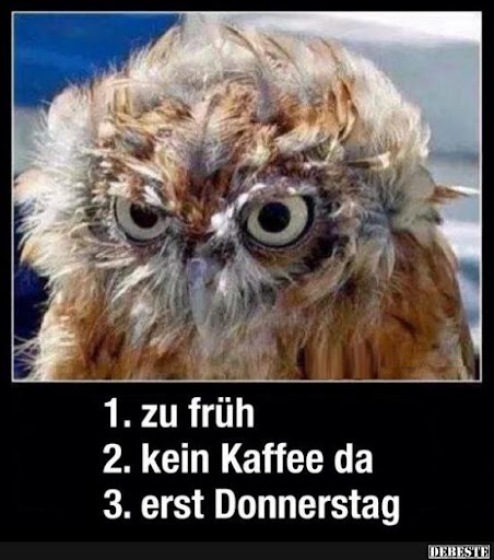 Zu Fruh Kein Kaffee Erst Donnerstag Lustige Bilder Spruche Witze Echt Lustig