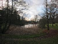 Free Image Hosting at www.ImageShack.us
