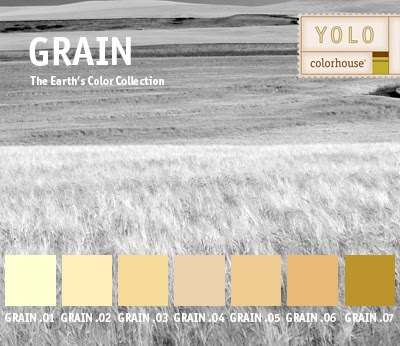 http://www.pinterest.com/pin/265501340504508267/ YOLO Colorhouse GRAIN color family