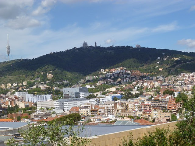 P1020228