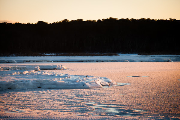Edgartown News, Sara Piazza Photography, Edgartown Photographer, Martha's Vineyard Photographer, Martha's Vineyard Family and Wedding Photographer, blizzard 2015