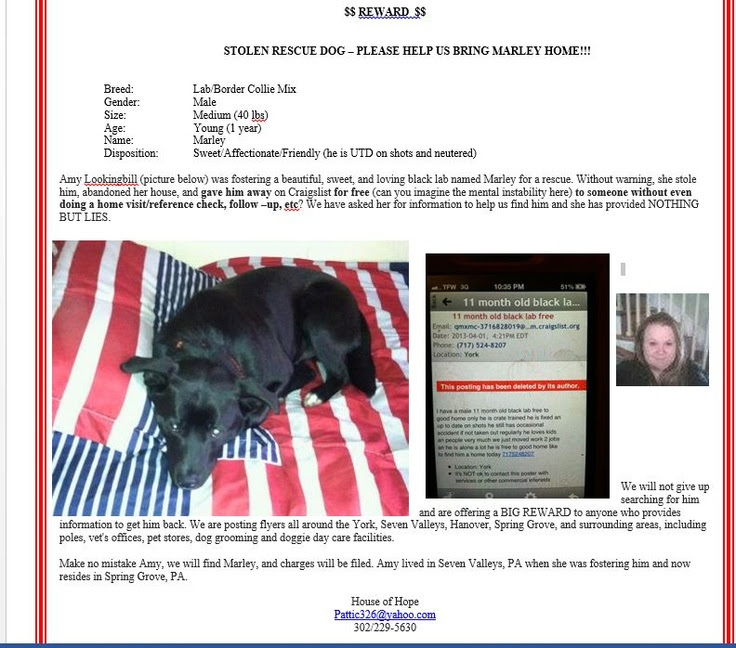 craigslist lancaster pa farm and garden on craigslist pa pets lancaster