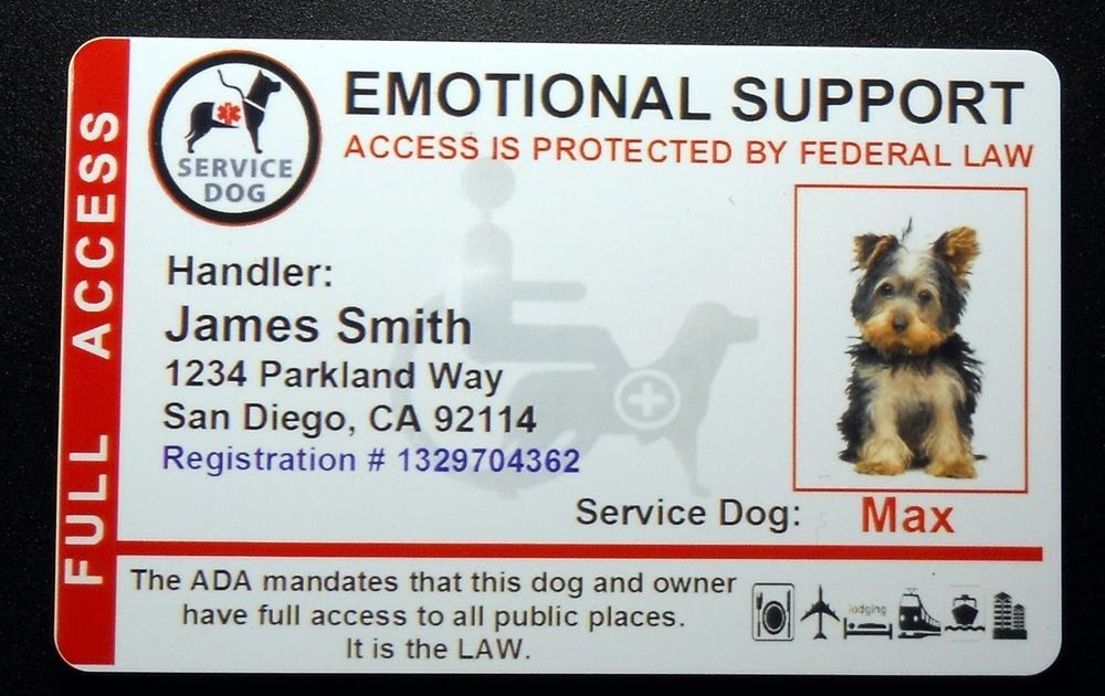free service dog registration