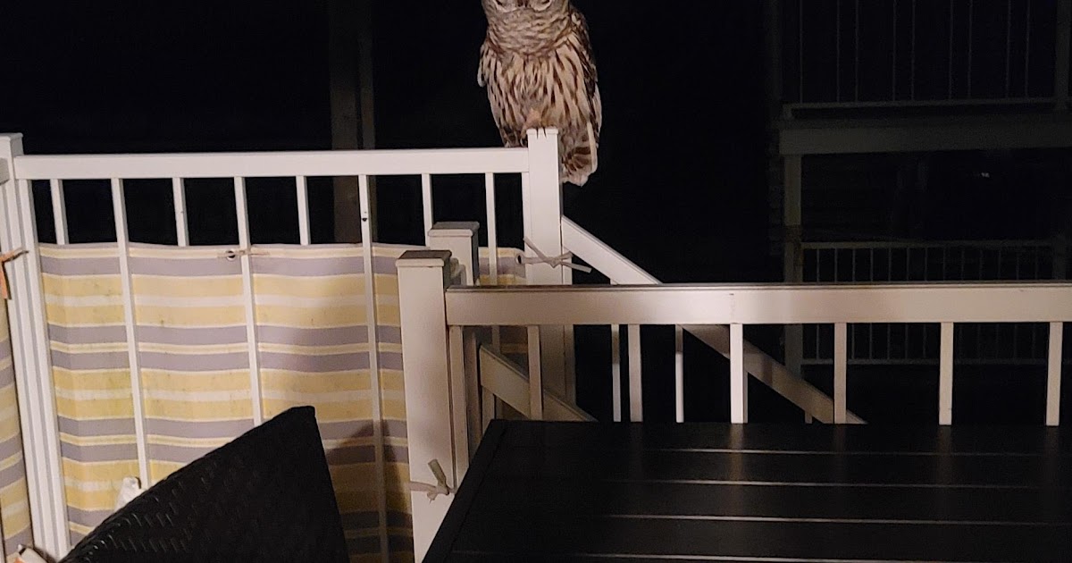 "Had some company last night while smoking on my balcony." | Mildly If I Smoke On My Balcony Will It Smell