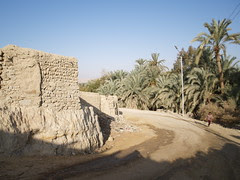 P1090113