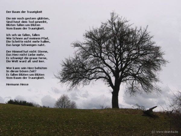 Spruche Zitate Rudolf Steiner Zum Geburtstag Wunsche