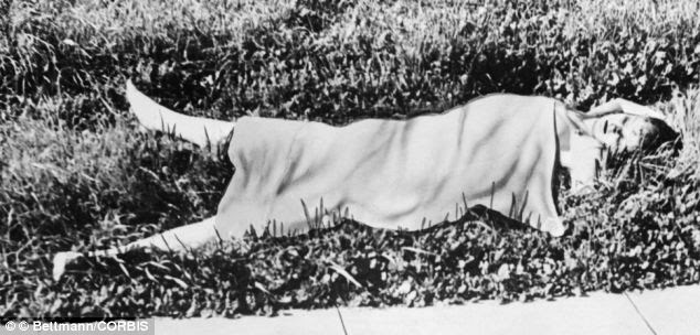 Elizabeth Short's mutilated body was found in a vacant lot near a busy intersection on the southwest section of L.A. in 1947