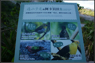DSC04458