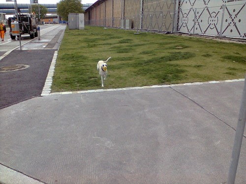 Foto0077