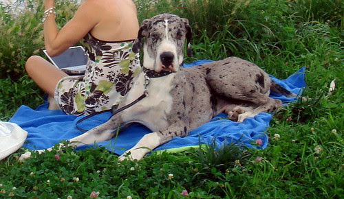 DSC04624.JPG