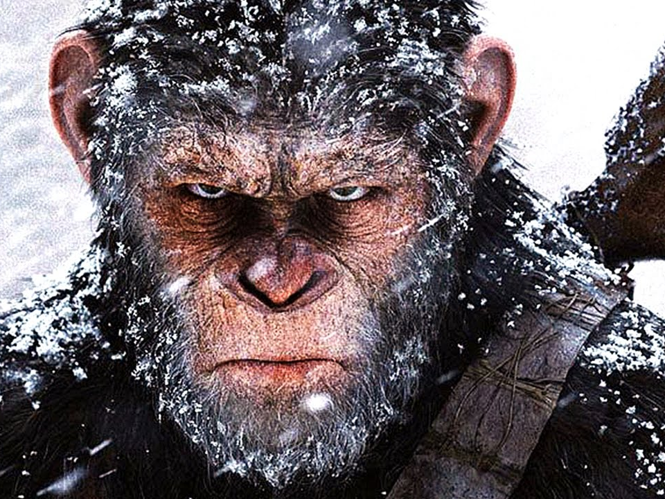 war-for-the-planet-of-the-apes-wins-a-qu