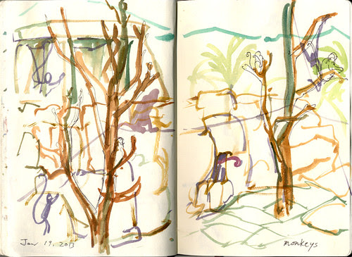 monkey zone