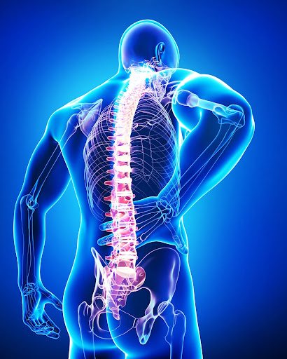 Back Muscles Diagram Pain / Lower Back Pain and The Involvement of the