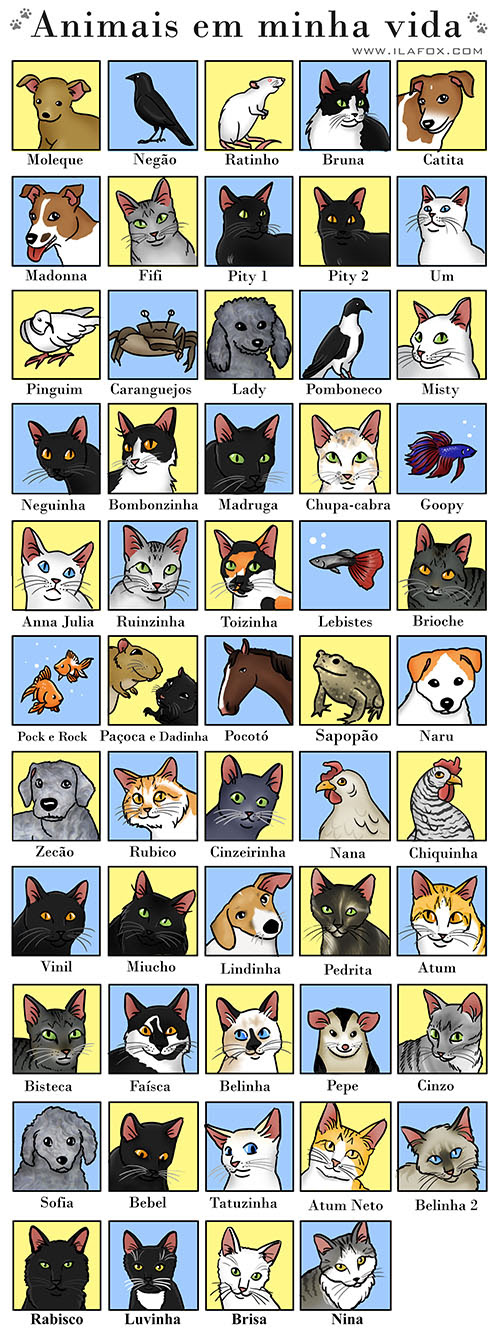animais de estimação em minha vida, nome de animais de estimação, gatos, cachorros, esquilos mongólia, cavalo, galinha, gambá, sapo, rato, pássaro, pombo, peixes, lebistes, peixe beta, peixe dourado, caranguejos, ilustração by ila fox