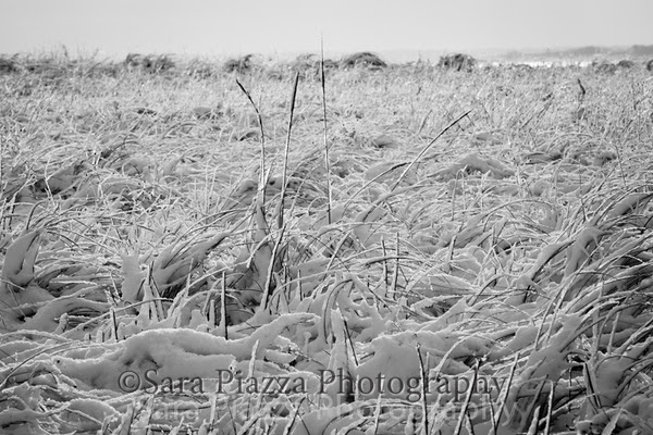 snow, Edgartown