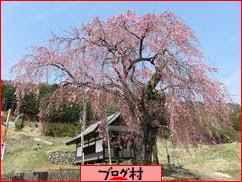 にほんブログ村 地域生活(街) 中部ブログ 南アルプス情報へ