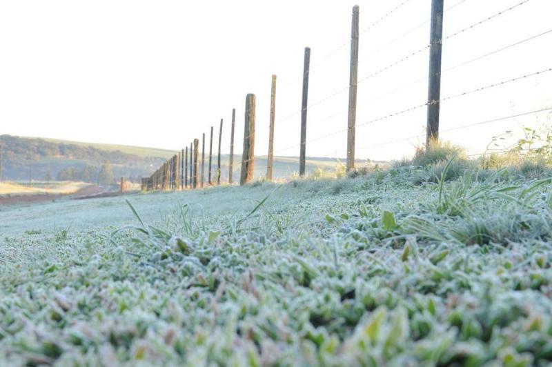 Em Passo Fundo/RS, frio deixou os campos cobertos de geada, com temperaturas na casa de 0ºC:imagem 7