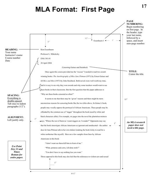 mla style literature review example