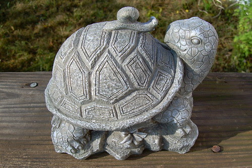 Turtle award