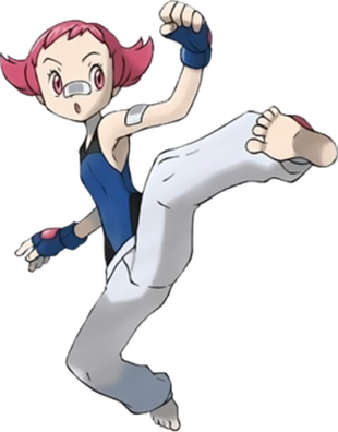 Pokemon Images: Pokemon All Female Gym Leaders