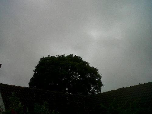 dark summer day 3