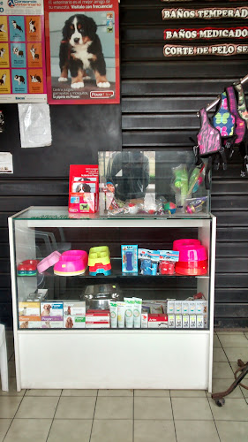Veterinaria Medivet - Veterinario