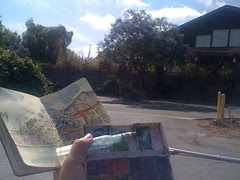 Jacaranda tree stop