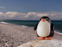 penguin