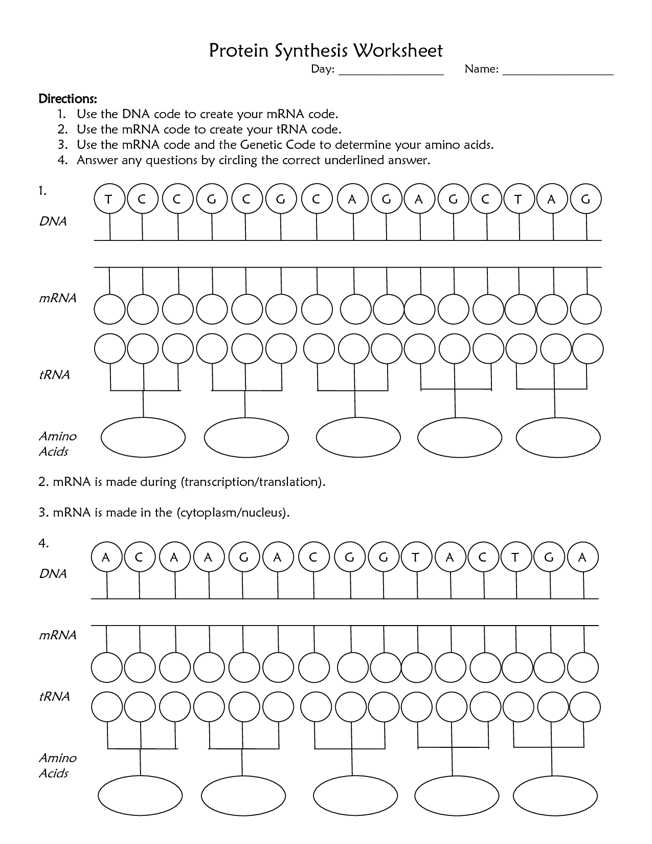 Dna Protein Synthesis Worksheet - ProteinWalls Inside Protein Synthesis Worksheet Answers
