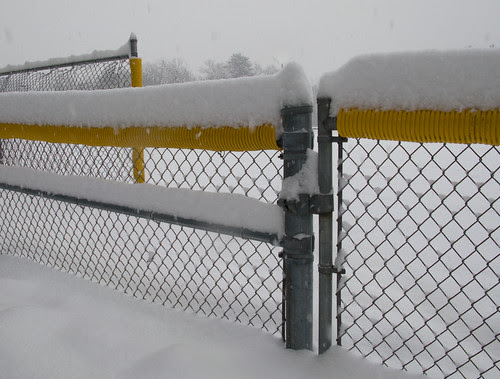 snow on a fence