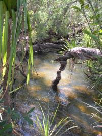 Free Image Hosting at www.ImageShack.us