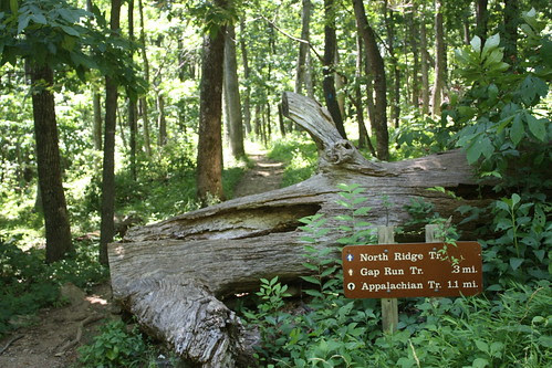North Ridge Trail at Piedmont Overlook Trail - Sky Meadows State Park