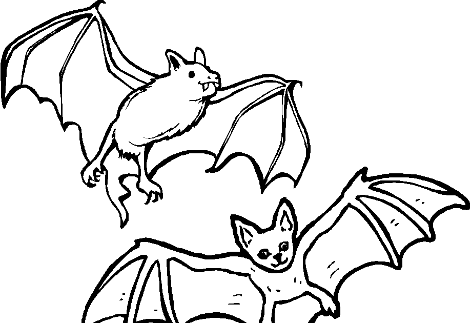 Cute Baby Bat Coloring Pages - DEATHERECTION