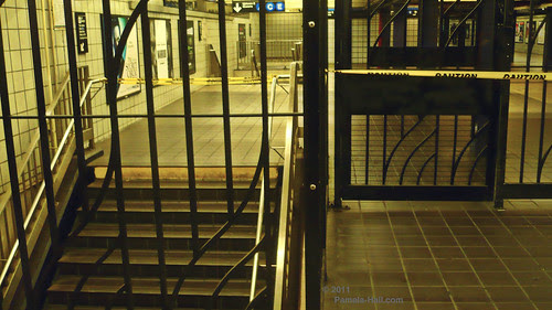 P1200459 copy