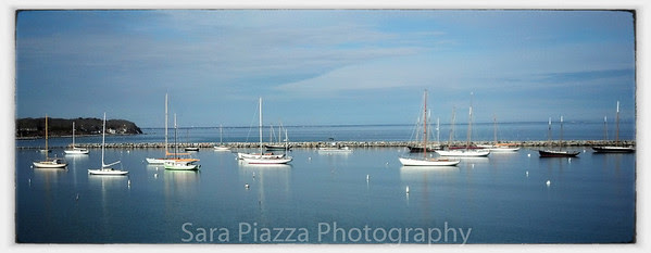Snapseed photos, Edgartown News, phone photos,