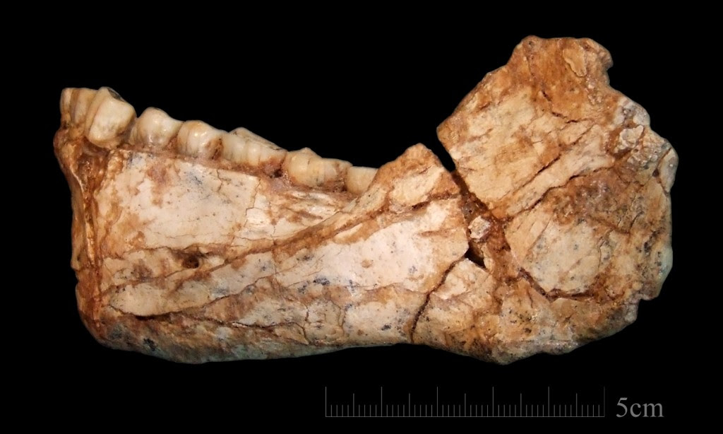 Nossa história foi reescrita: encontram fósseis de Homo sapiens 100 mil anos mais antigos