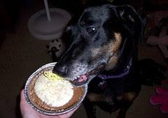 Lola_Pie_7411h